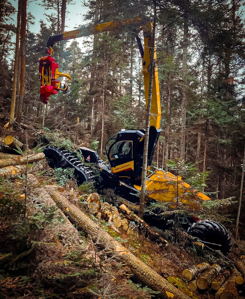 Highlander en exploitation forestière dans la pente